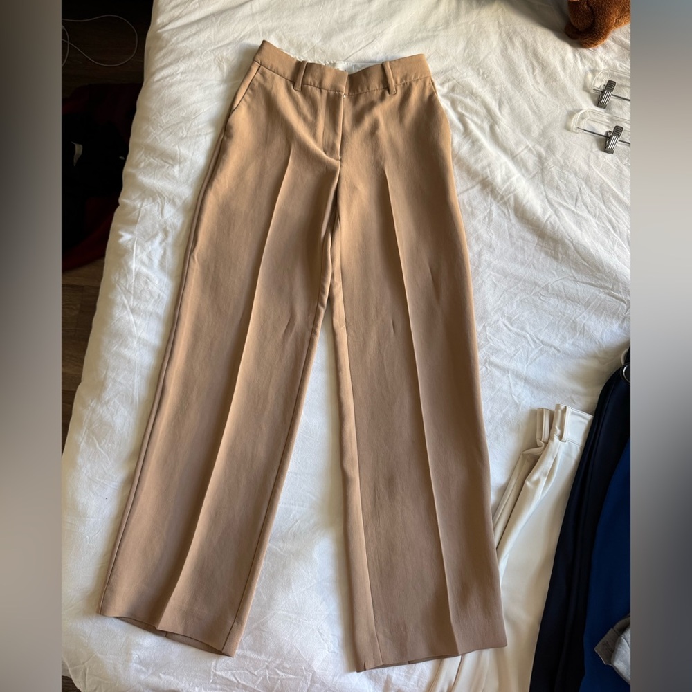 Aritzia Slacks
